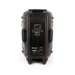 Parlante Activo Halion PHA-15MDX WN 15″ AC/DC - Imagen 4