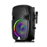 Parlante Portátil Maxtron MX 121 Profesional
