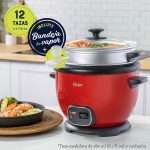Olla Arrocera Multiusos Oster CKSTRC5730R