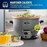Olla Arrocera Multiusos Oster CKSTRC7130S 2.2L