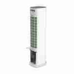 Enfriador De Aire Miray EAM-1098R con Control Remoto - Imagen 4